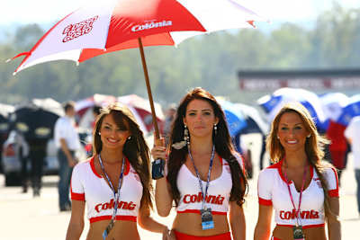 Sie suchen noch nach einer Schirmherrschaft