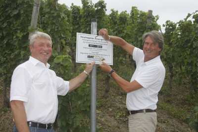 Hermann Tomczyk (re.) im Weinberg bei Neumagen-Dhron