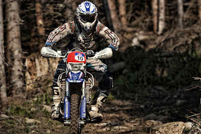 Über Stock und Stein: Andreas Lettenbichler