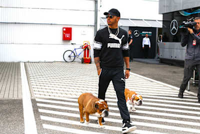 Lewis Hamilton mit seinen Hunden