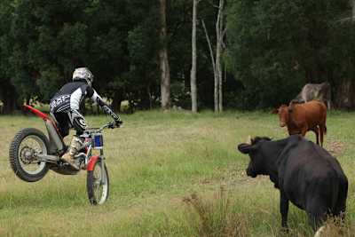 Vermeulen hat für sein Comeback hart trainiert