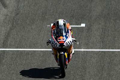 David Alonso gehört die #80