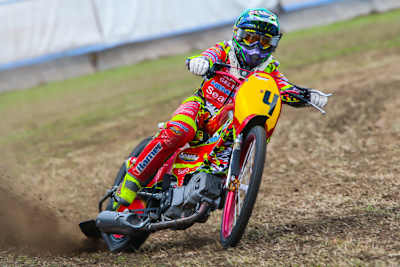 Sieger Romano Hummel