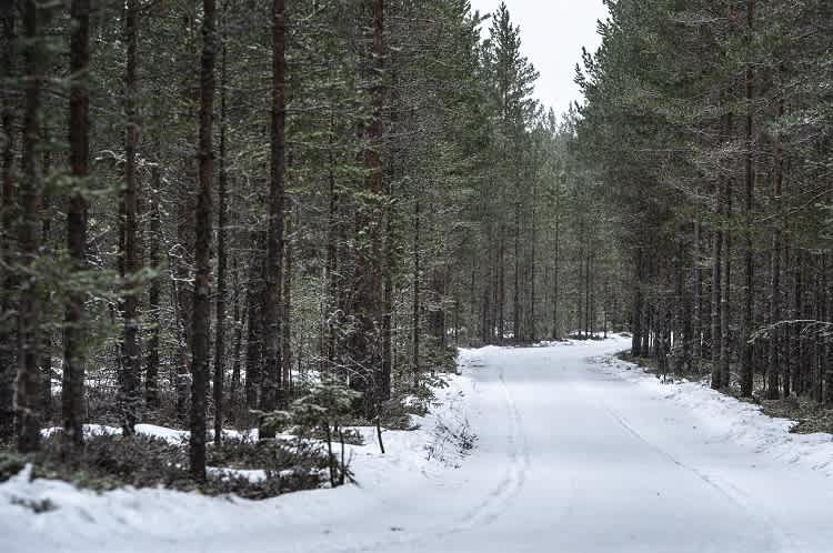 Eine leichte Schneedecke...