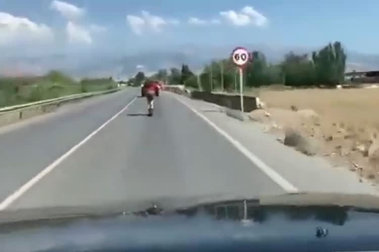 Also wirklich: 100 km/h auf dem Tretroller, dabei wären hier 60 km/h erlaubt - für Autos, nicht für Tretroller