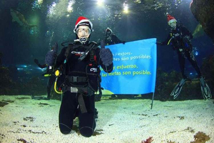 Carlos Checa: Grüsse aus dem Haifischbecken