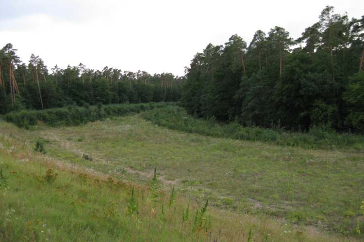 So sieht die Ostkurve heute aus