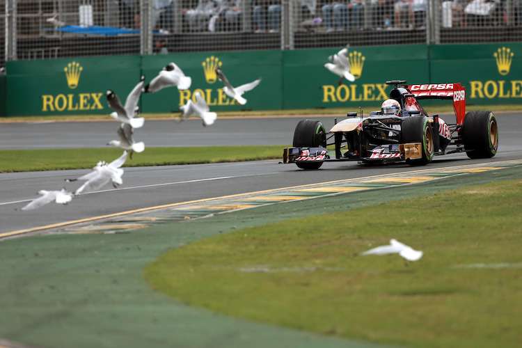 Regen ist in Melbourne nicht ungewöhnlich – hier eine Impression aus dem Abschlusstraining 2013