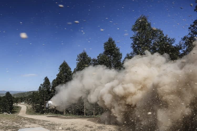Die Rallye-WM soll auch 2017 viel Staub aufwirbeln
