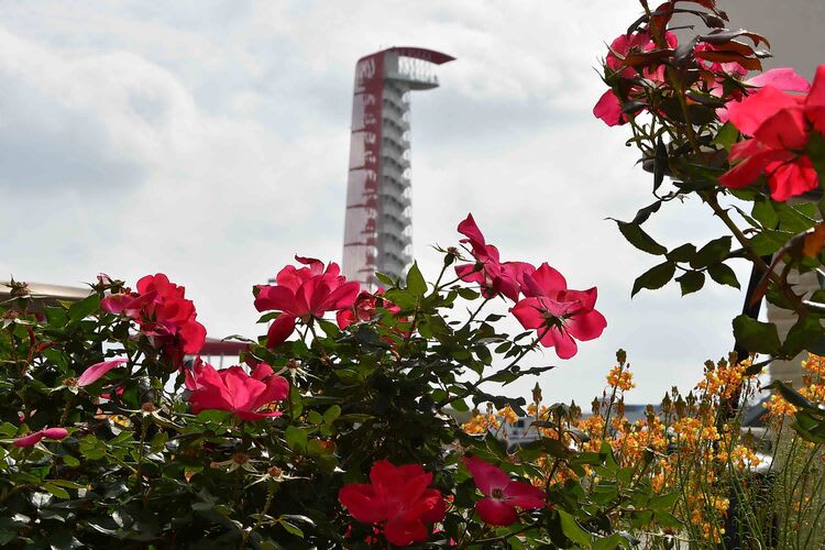 Blumenpracht auf dem Circuit of the Americas