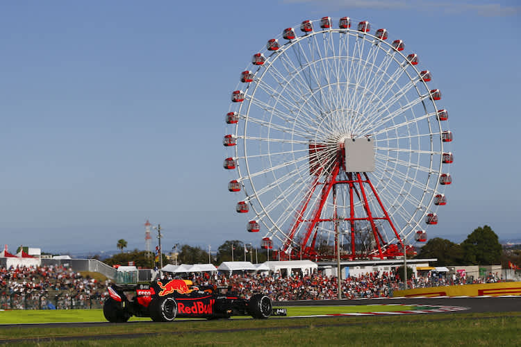 Daniel Ricciardo: «Ich liebte es schon damals, in Gesellschaft zu sein und neue Freunde zu finden»