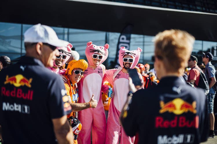 Die Fans kommen auf ihre Kosten