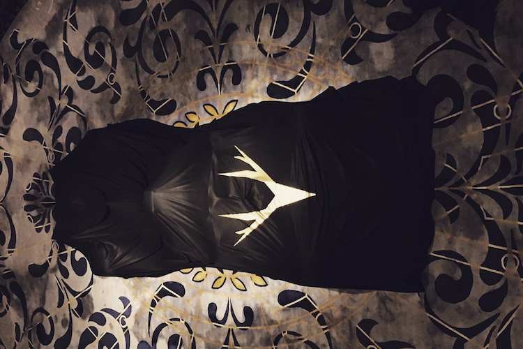 Der neue Haas-Look wird heute enthüllt