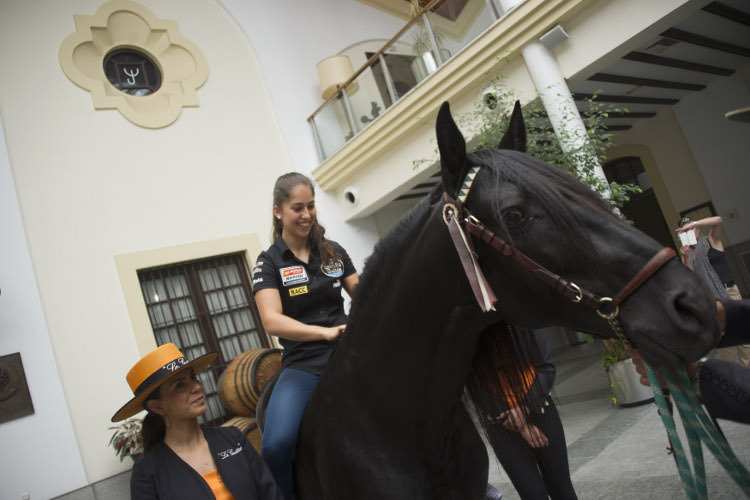 Hoch zu Ross: Maria Herrera