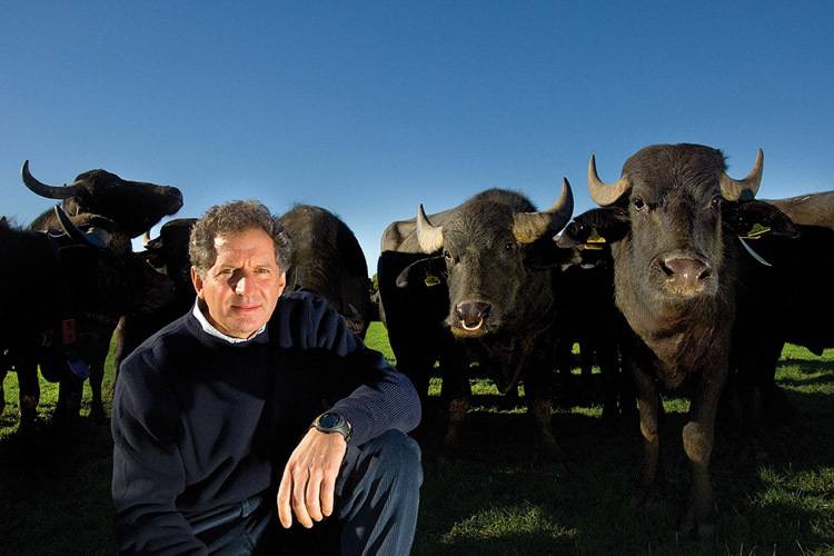 Der ehemalige Formel-1-Pilot Jody Scheckter besitzt mittlerweile mehr als 1500 Wasserbüffel