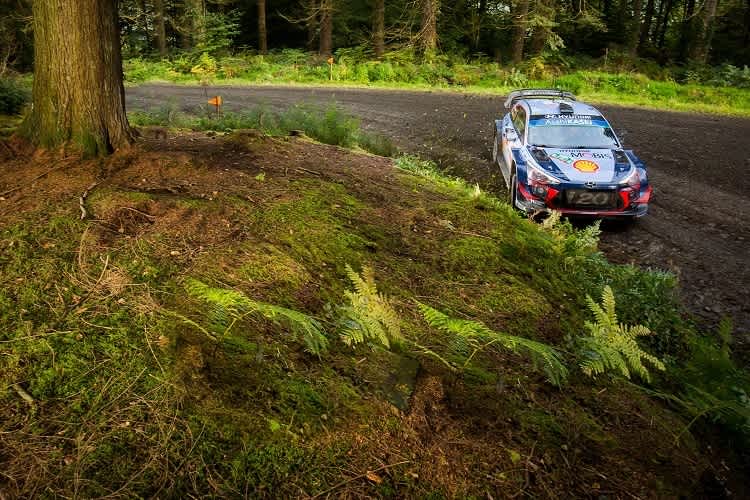 Thierry Neuville bleibt in der WM vorne