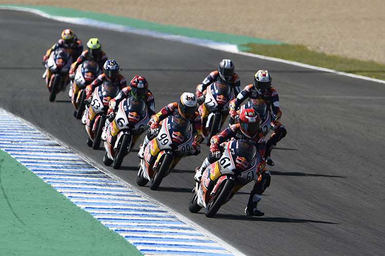 Bewirb dich jetzt und werde Teil des Red Bull Rookies Cups