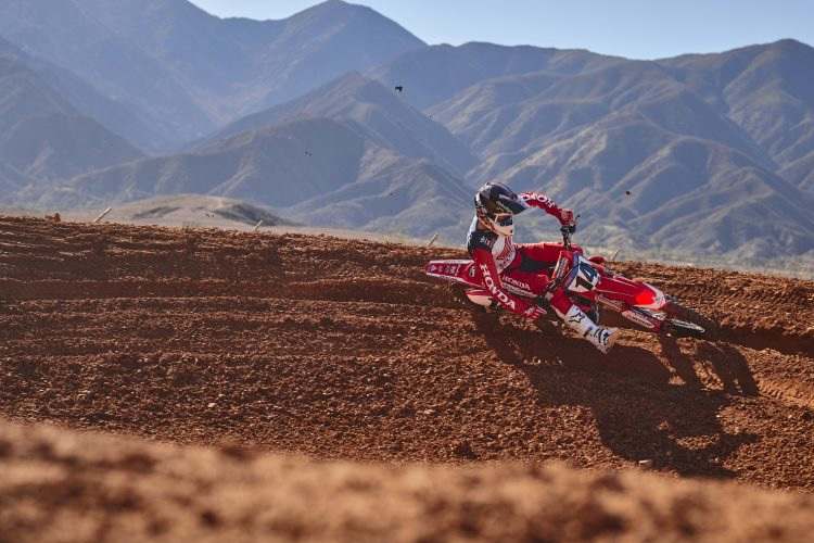 Cole Seely tritt zurück