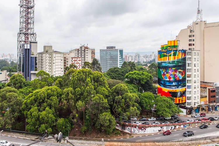 Voll konzentriert: Ayrton Senna