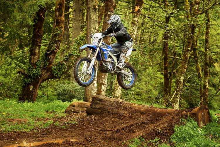 Die Yamaha WR 250 F: Waldmachine für gehobene Ansprüche