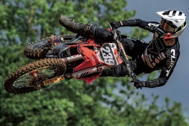 Lion Florian in Crisolles