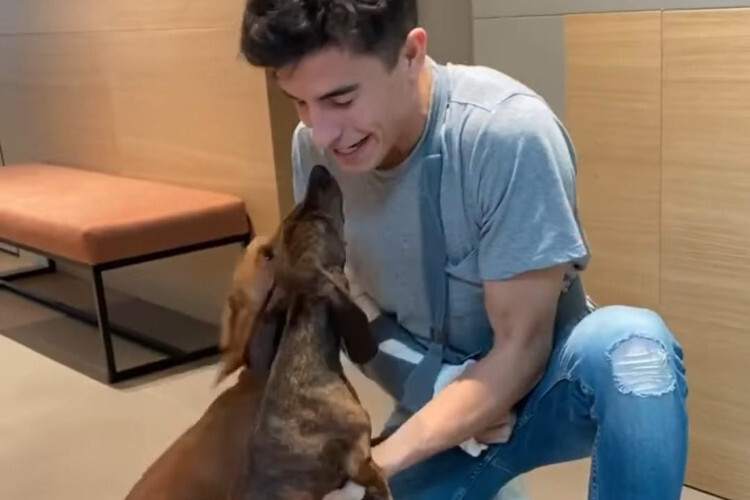 Marc Márquez ist wieder zu Hause, Stitch und Shira freut es