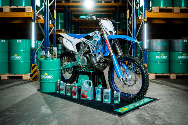 Die erste Startreihe: Sam Lowes, Joe Roberts und Remy Gardner