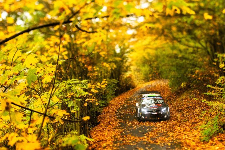 Laubsauger: Der lange in der WM führende Elfyn Evans will die Titelentscheidung mit einem guten Ergebnis offen haltent