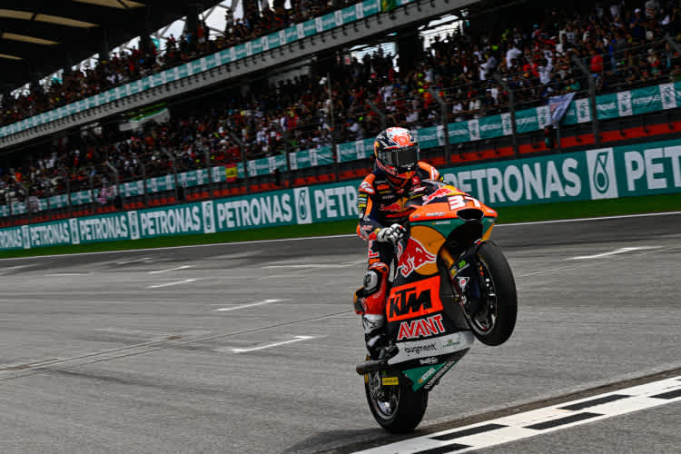 Wieder mit Nummer 37: Pedro Acosta in Jerez