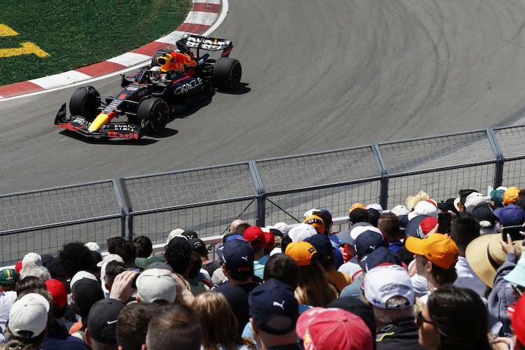 Formel-1-Champion Max Verstappen