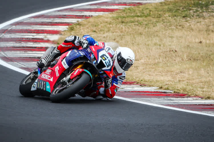 Der WM-Gast kommt wieder
