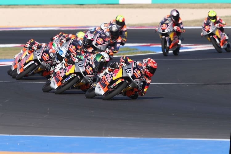 Angel Piqueras krönnte sich in diesem Jahr im Red Bull Rookies Cup zum Meister