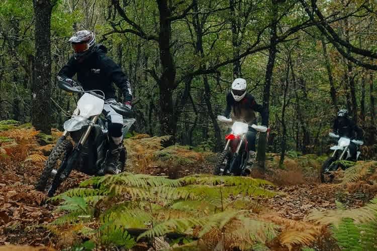 Stark Varg EX: Strassenlegale Elektro-Enduro, erhältlich in Grau, Rolt und Weiss
