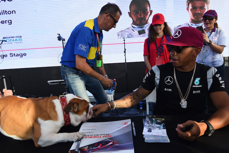 Lewis Hamilton und seine Coco