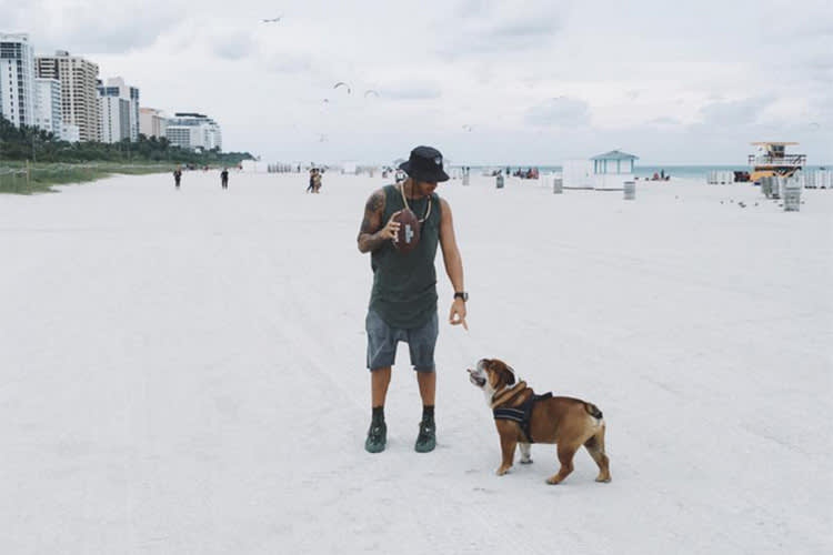 Lewis Hamilton mit Roscoe in Miami