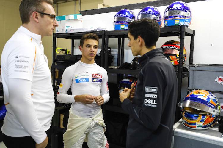 Lando Norris (Mitte) ist der leichteste Fahrer im Startfeld 2019