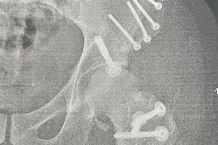 Der Kontrolltermin zeigte: Alle Schrauben sitzen gut