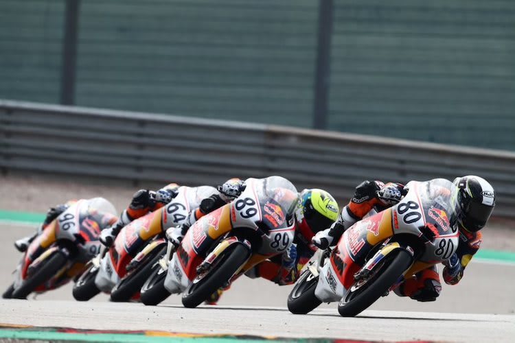 Dramatisches Finale des zweiten Red Bull Rookies Cup-Rennen auf dem Sachsenring