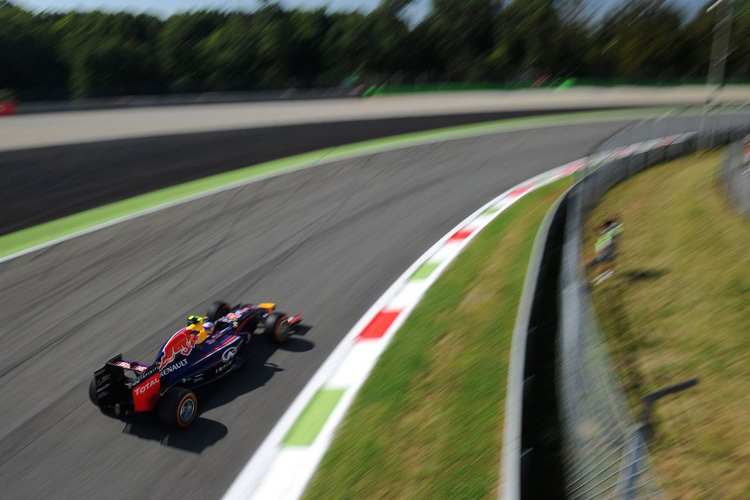 Daniel Ricciardo in Monza