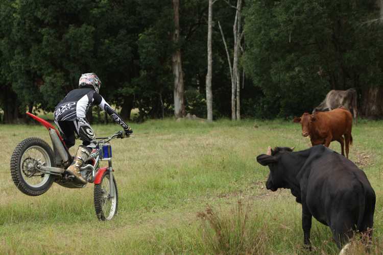 Vermeulen hat für sein Comeback hart trainiert