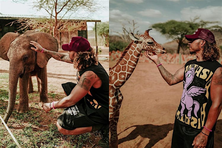 Lewis Hamilton ist von der Tierwelt tief beeindruckt