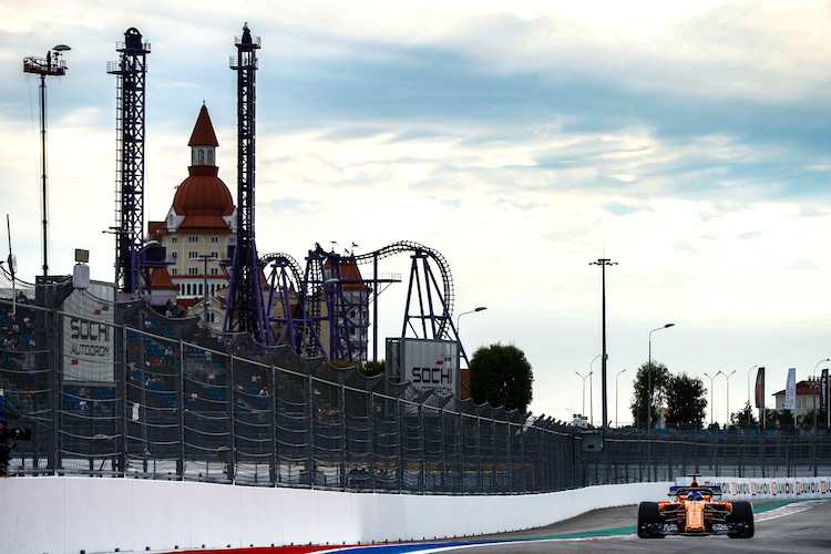 Fernando Alonso in Sotschi