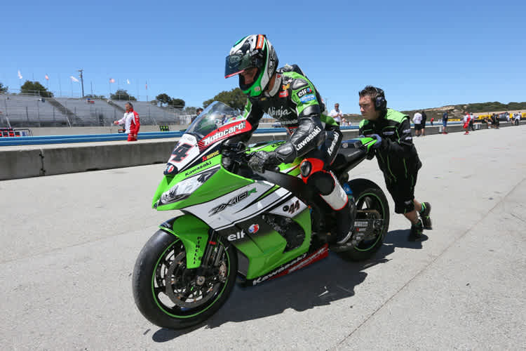 David Salom soll 2015 Pedercinis Nummer 1 werden