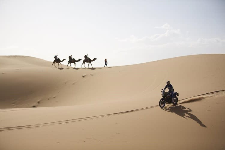 Wie im Märchen: Dünen surfen, und auf dem Dünenkamm zieht eine kleine Karawane vorbei