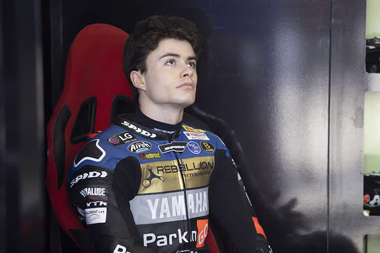 Stark: Manuel Gonzalez