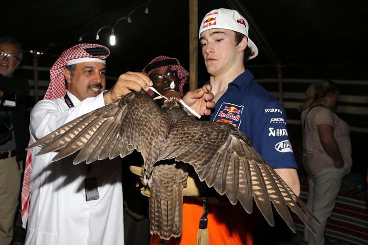 Jeffrey Herlings machte schon mit anderen wilden Vögeln Bekanntschaft