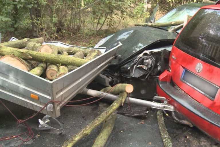 Abrahams Unfallgegner: Aus dem Walde kam er her