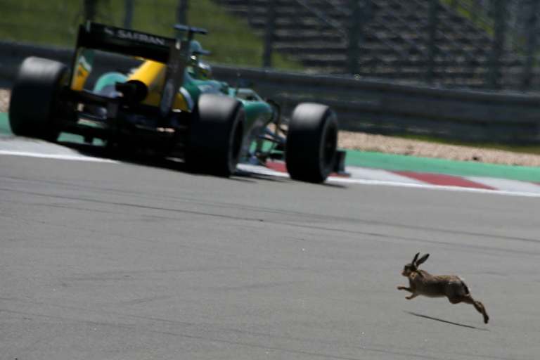 Charles Pic hatte nicht nur Jenson Button im Rückspiegel