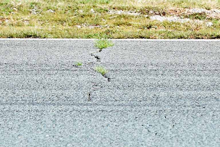 Die Natur hat sich langsam, aber sicher der Rennstrecke bemächtigt