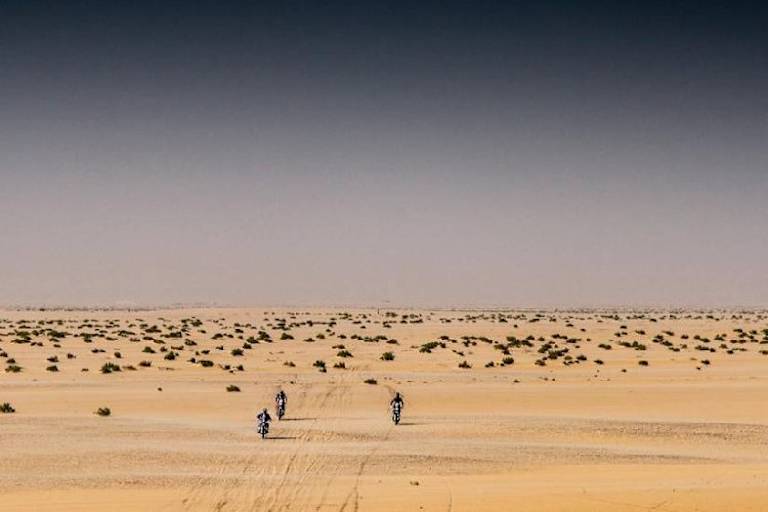In der Steppe gibt es keinen Schutz vor Wind